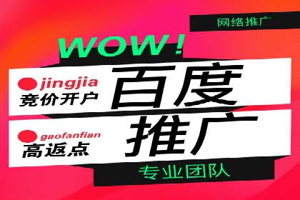 SEM推广策略如何制定——以某电商平台的成功案例为例